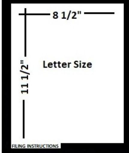 Picture of 101-1 BOTTOM TAB "FILING INSTRUCTIONS"  POSITION #1