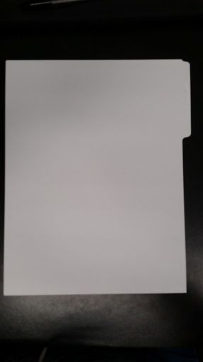 Picture of 300-1B BULK SIDE TAB  "BLANK" POSITION #1